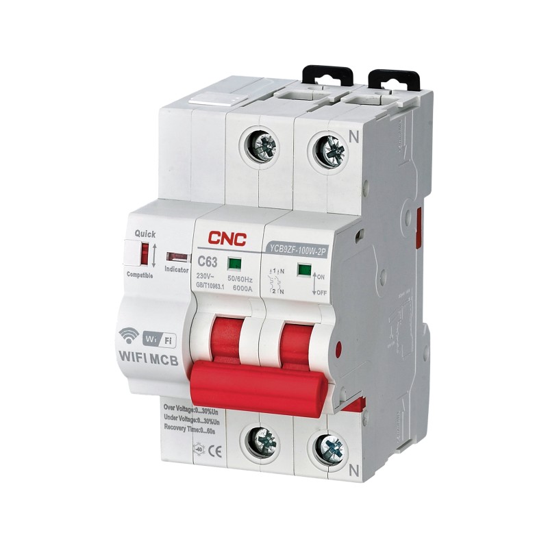 YCB9ZF-100W-2P 80A C A